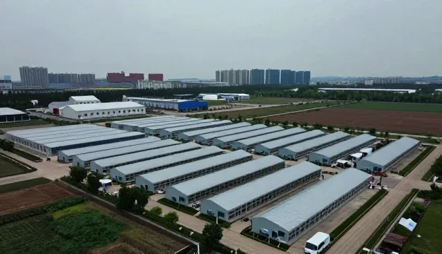系统稳定性：技术外包服务的业务趋势与实践路径