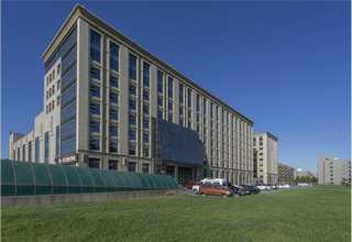 山西国产金川钴豆